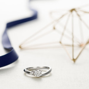 ダイヤモンドシライシ ダイヤモンドシライシ