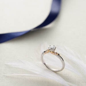 ダイヤモンドシライシ ダイヤモンドシライシ