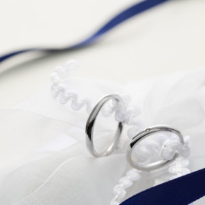 ダイヤモンドシライシ ダイヤモンドシライシ