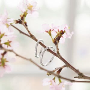 BIRDAL RINGS BIRDAL RINGS