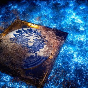 谷中陽子作品集表紙 谷中陽子作品集表紙