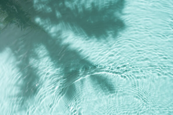 acryltray-001 アクリルトレーを使ったテスト撮影